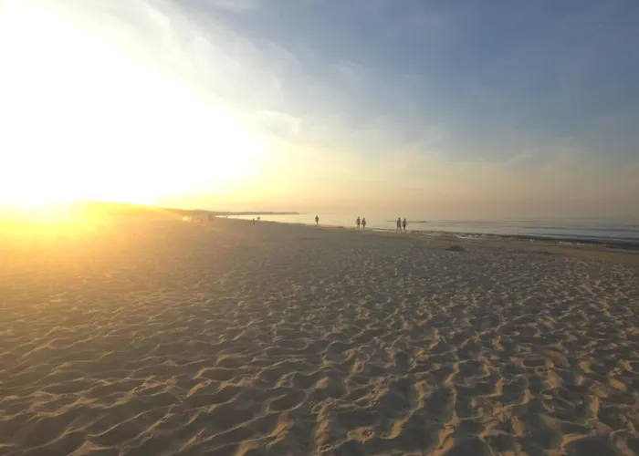 Apartment Przy Promie *